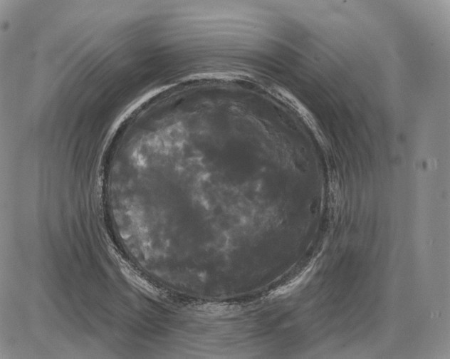 X0000087630779200705241214