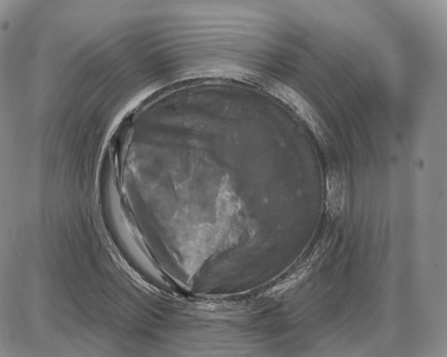 X0000087630780200705241214