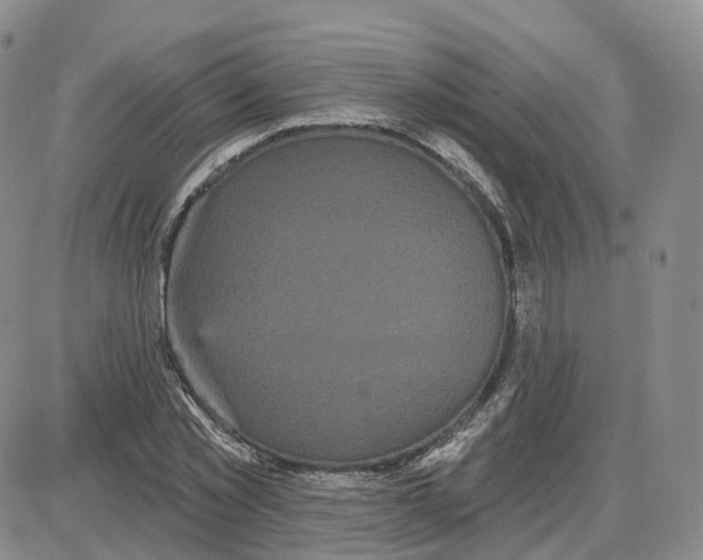 X0000087630781200705241214