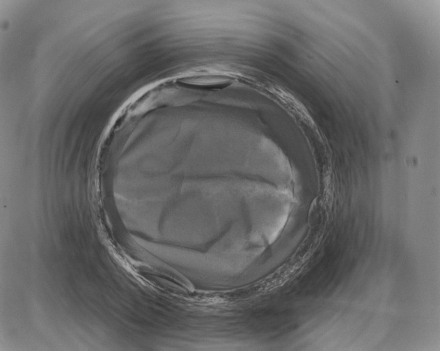 X0000087630784200705241214