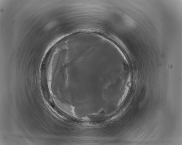 X0000087630787200705241214