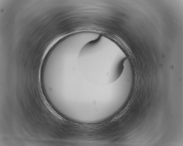 X0000087630788200705241214