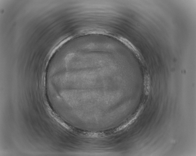 X0000087630790200705241214