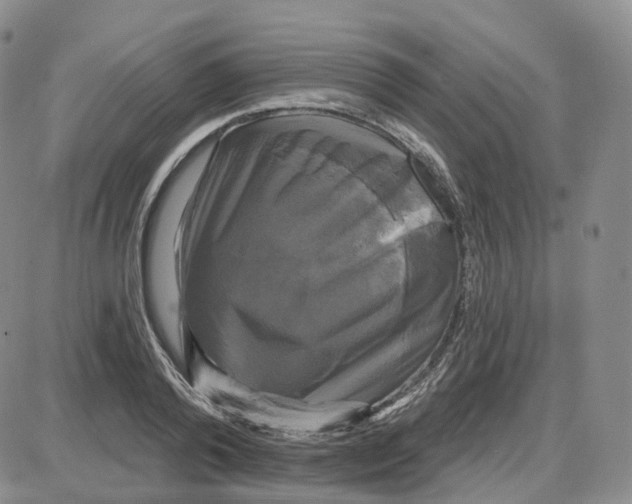 X0000087630792200705241214