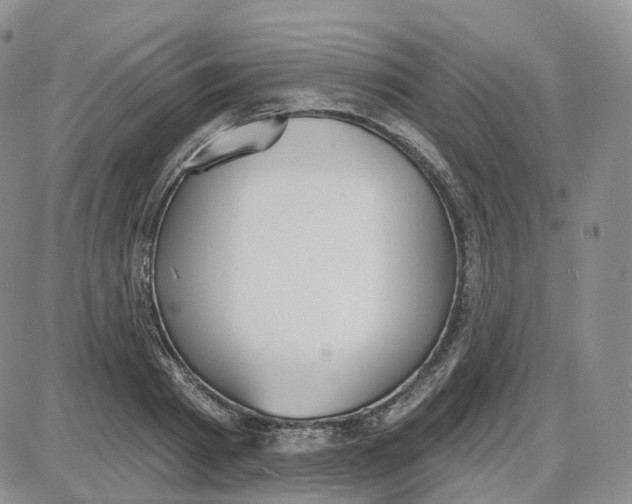 X0000087630793200705241213