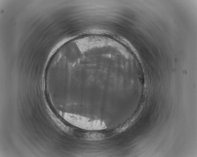 X0000087630795200705241213