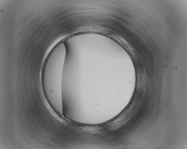 X0000087630796200705241213