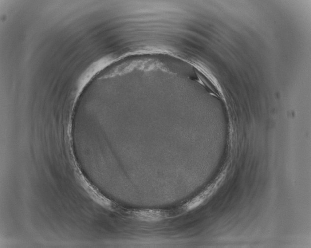 X0000087630797200705241213