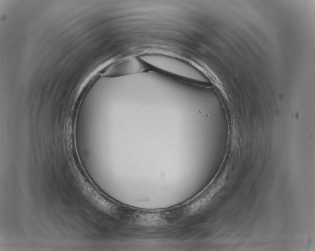 X0000087630798200705241213