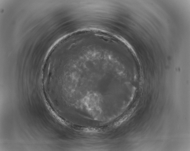 X0000087630799200705241213