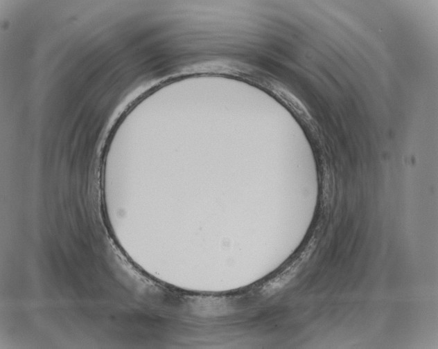 X0000087630800200705241213