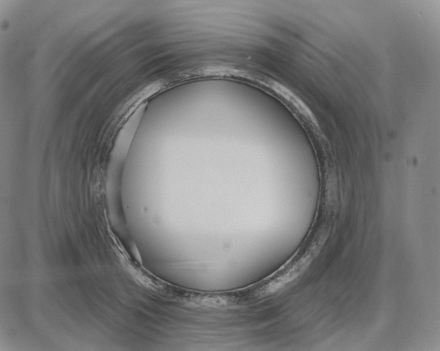 X0000087630801200705241213