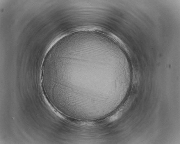 X0000087630802200705241213