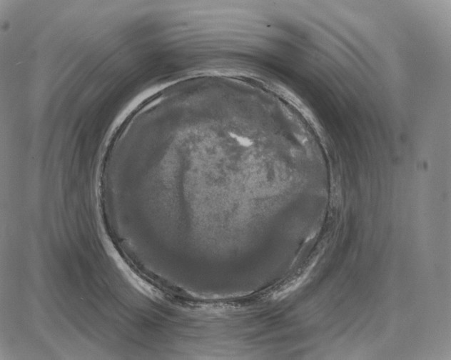 X0000087630803200705241213