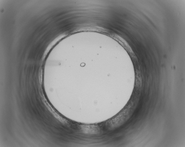 X0000087630804200705241213