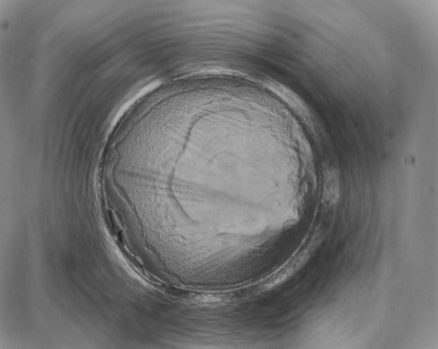 X0000087630806200705241213