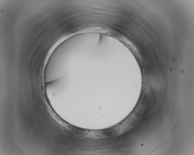 X0000087630808200705241213