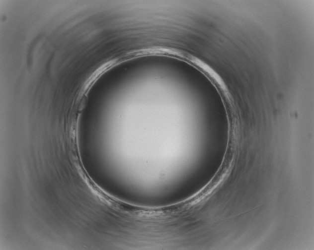 X0000087630809200705241213