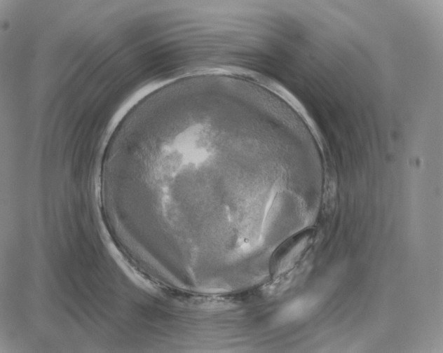 X0000087630811200705241213