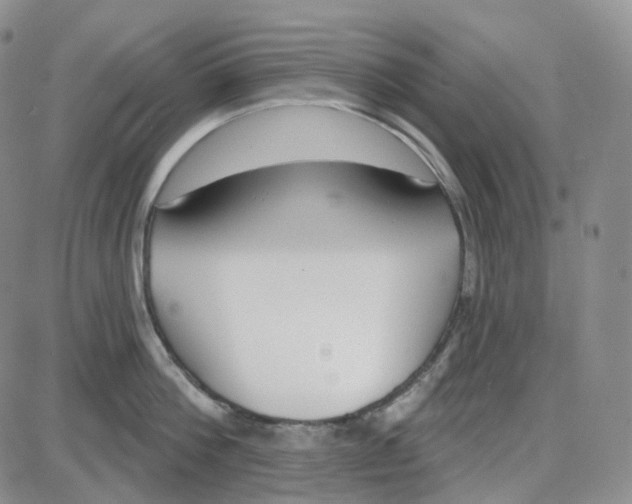 X0000087630812200705241213