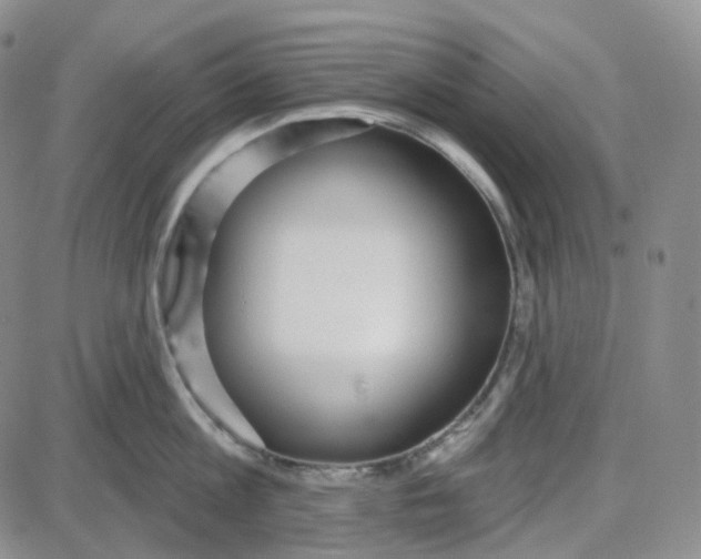 X0000087630813200705241213