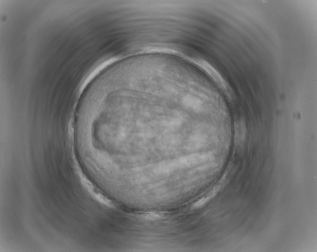 X0000087630814200705241213