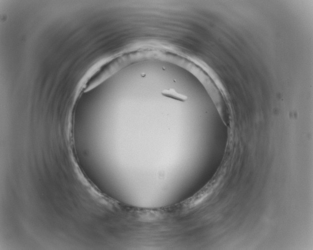 X0000087630815200705241213