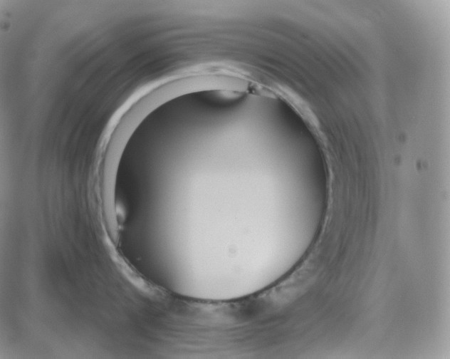 X0000087630816200705241213