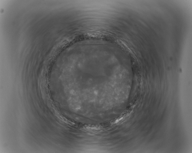 X0000087630817200705241212