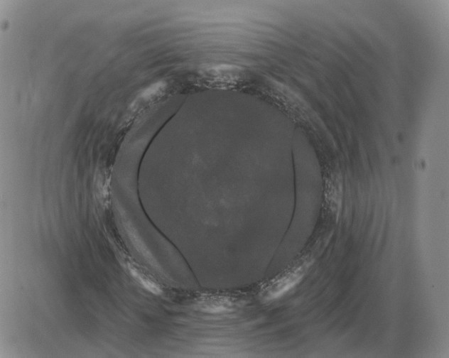 X0000087630818200705241212