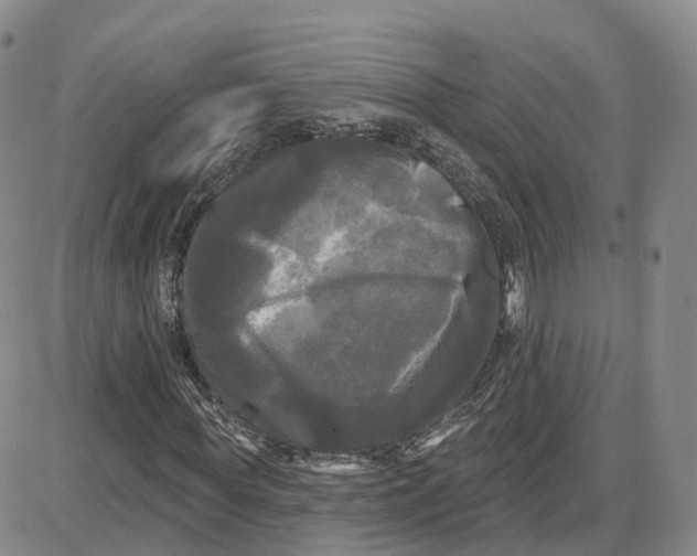 X0000087630819200705241212