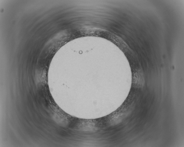 X0000087630820200705241212