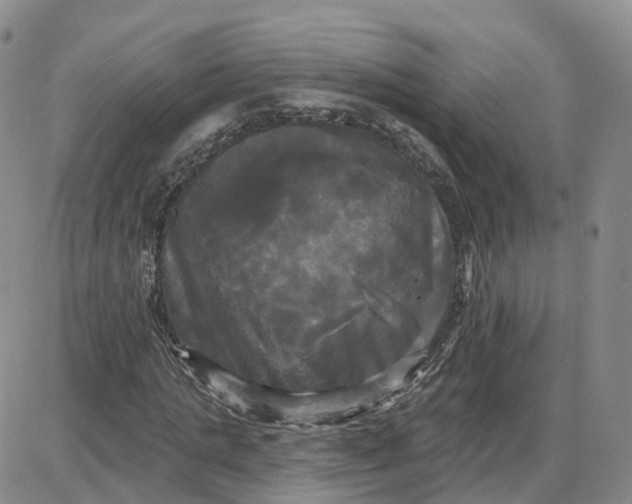 X0000087630821200705241212