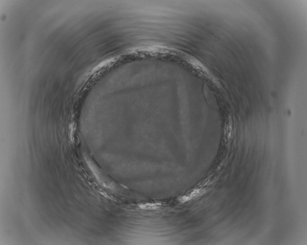 X0000087630822200705241212