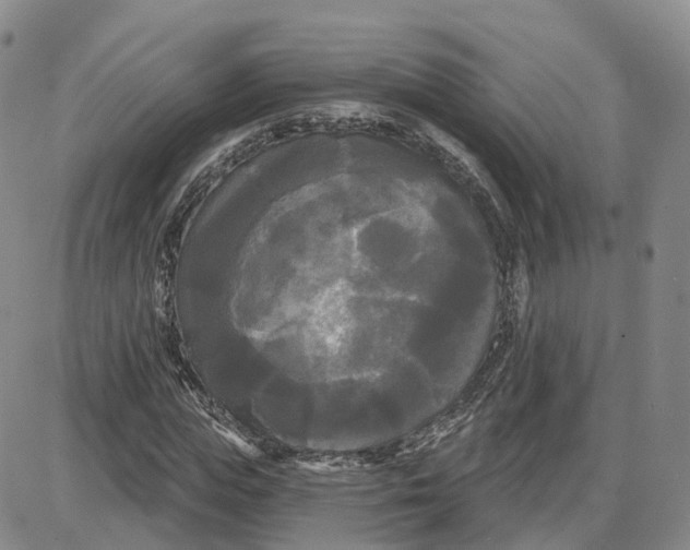 X0000087630823200705241212