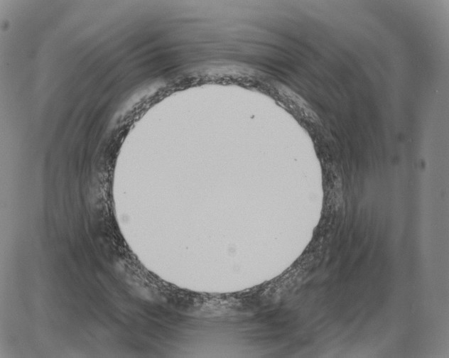 X0000087630824200705241212