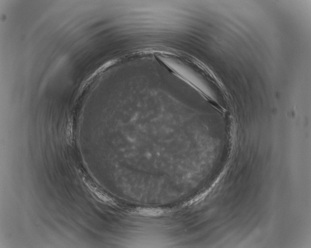 X0000087630825200705241212