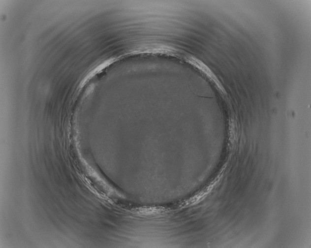 X0000087630826200705241212