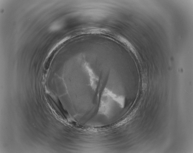 X0000087630827200705241213