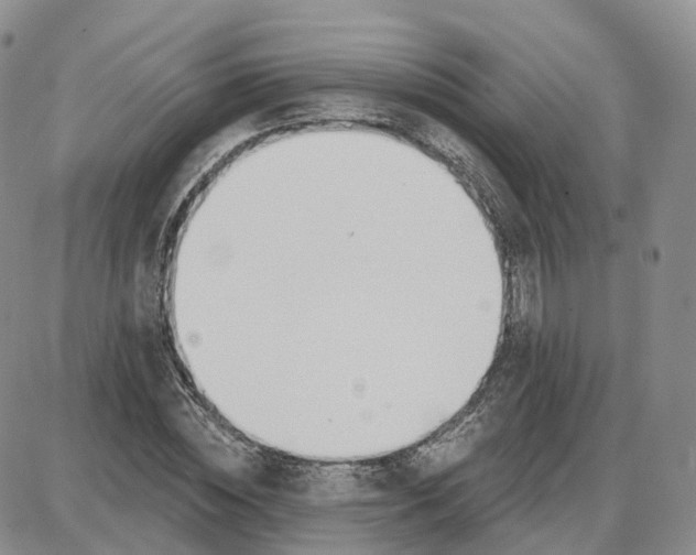 X0000087630828200705241213