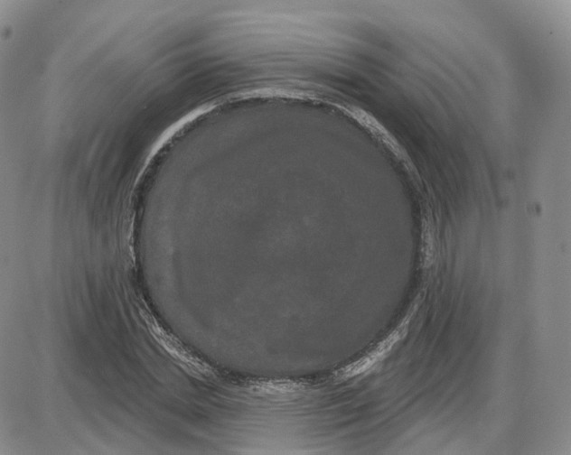 X0000087630830200705241213