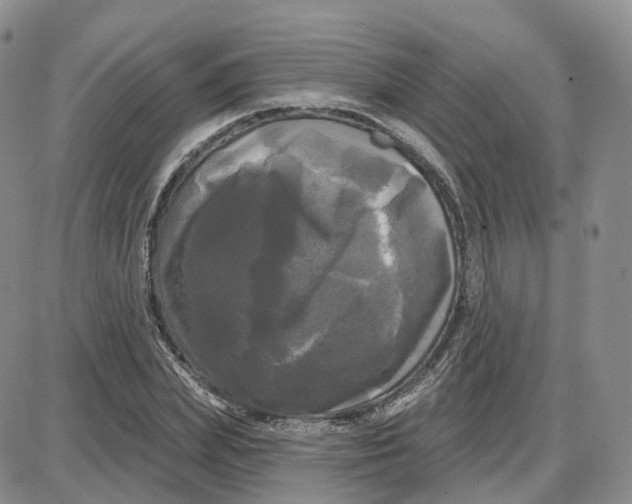 X0000087630831200705241213