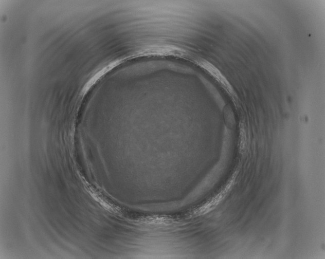 X0000087630834200705241213