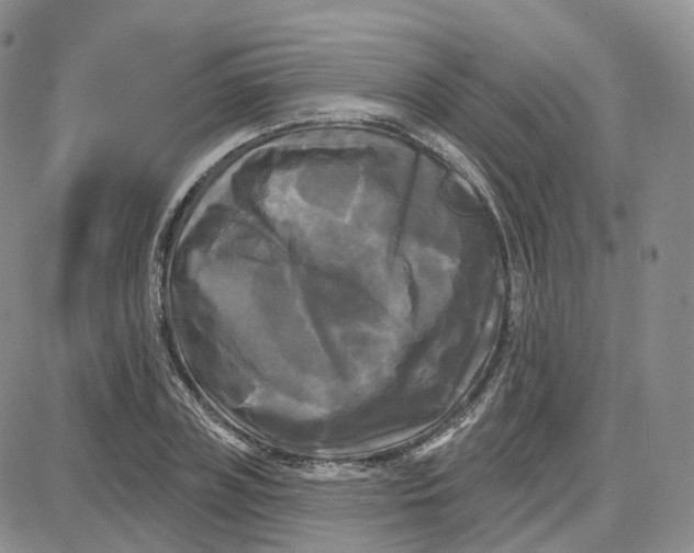 X0000087630835200705241213