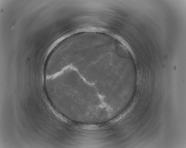 X0000087630837200705241213