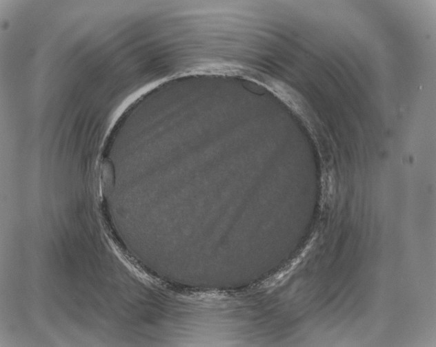 X0000087630838200705241213