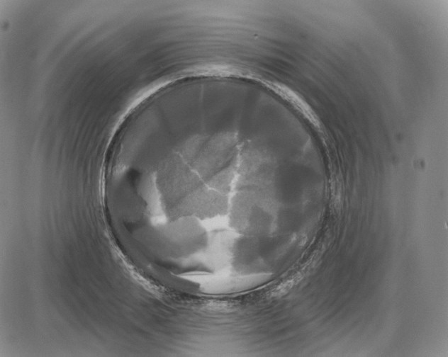 X0000087630839200705241213