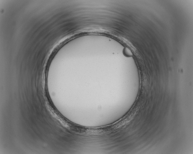 X0000087630840200705241213