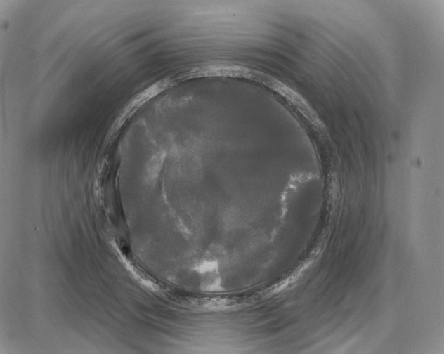 X0000087630841200705241213