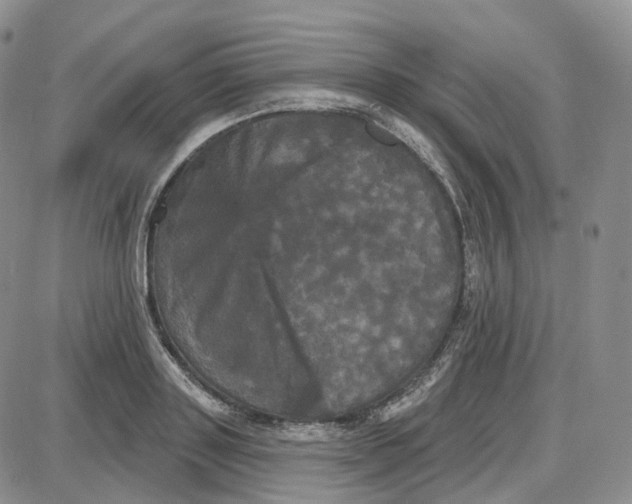 X0000087630843200705241213